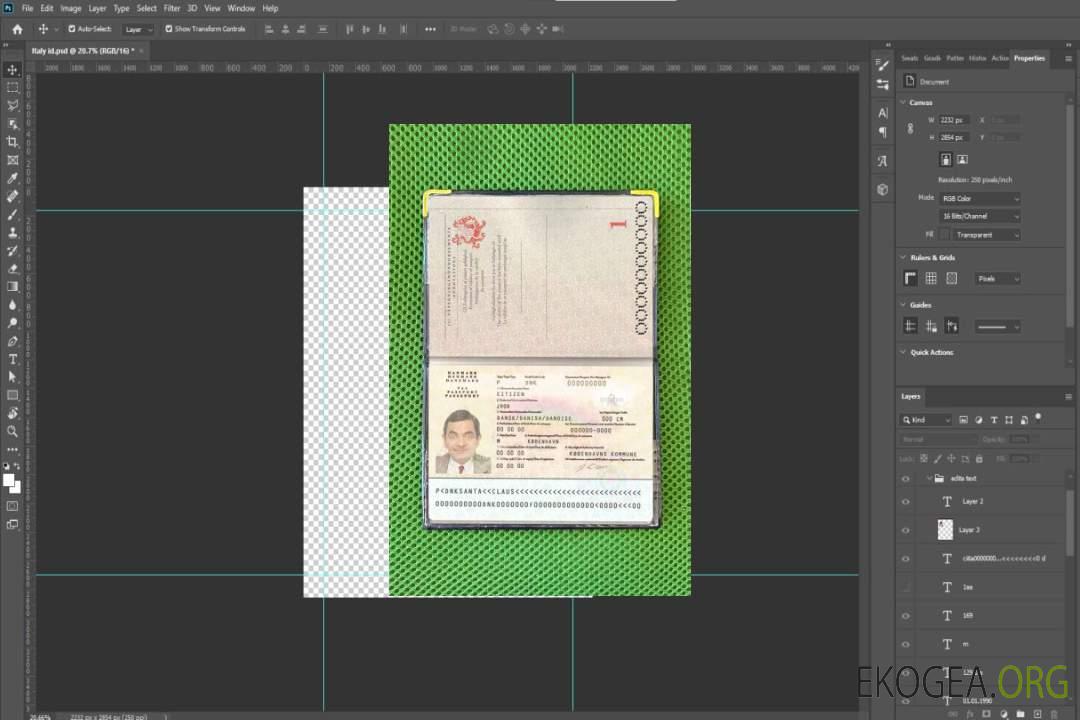 Look photo du passeport danois template
